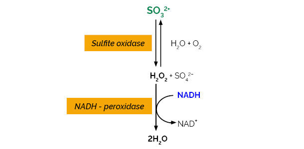 Total Sulfite Assay Kit&nbsp;(Enzymatic)
