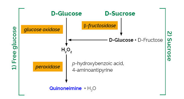 Sucrose/D-Glucose Assay Kit