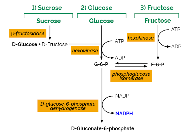 Sucrose/D-Fructose/D-Glucose Assay Kit