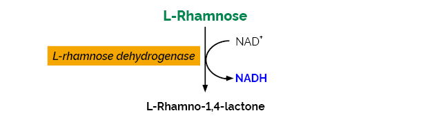 L-Rhamnose Assay Kit
