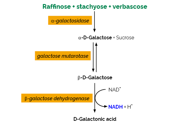 Raffinose/D-Galactose Assay Kit