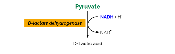 Pyruvic Acid Assay Kit