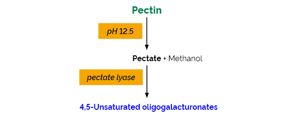 Pectin Identification Assay Kit