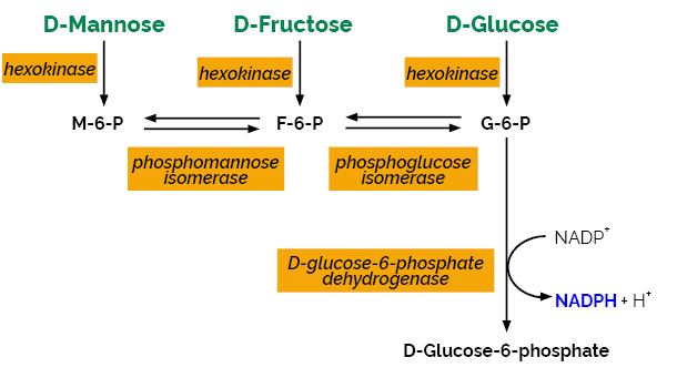 D-Mannose/D-Fructose/D-Glucose Assay kit