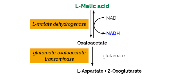 L-Malic Acid Assay Kit&nbsp;(Liquid Ready)