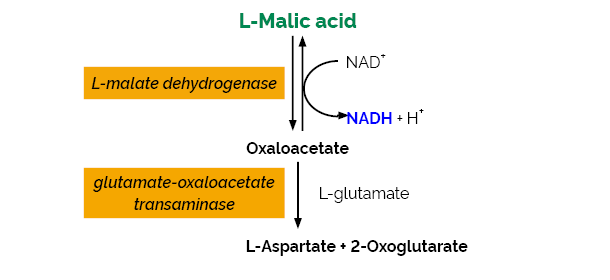L-Malic Acid Assay Kit (Manual Format)