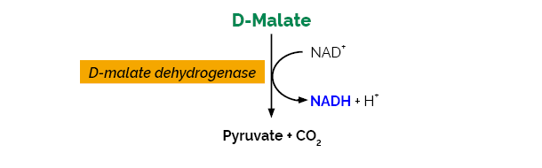 D-Malic Acid Assay Kit
