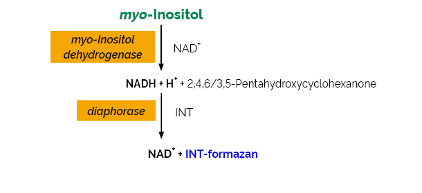 myo-Inositol Assay Kit