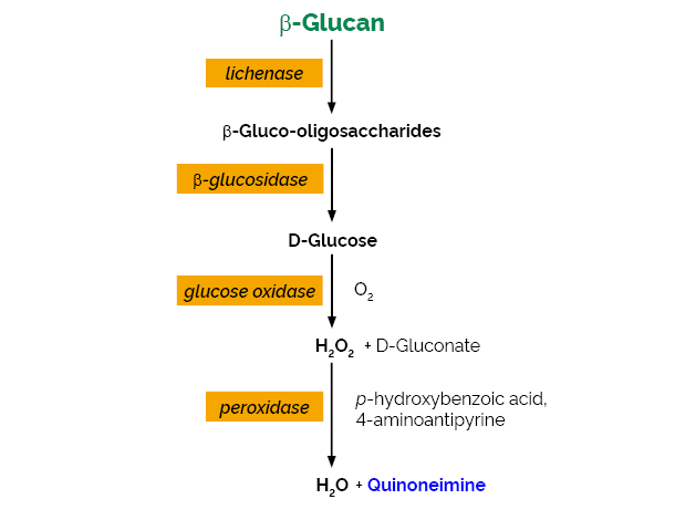 β-Glucan Assay Kit&nbsp;(Mixed Linkage)