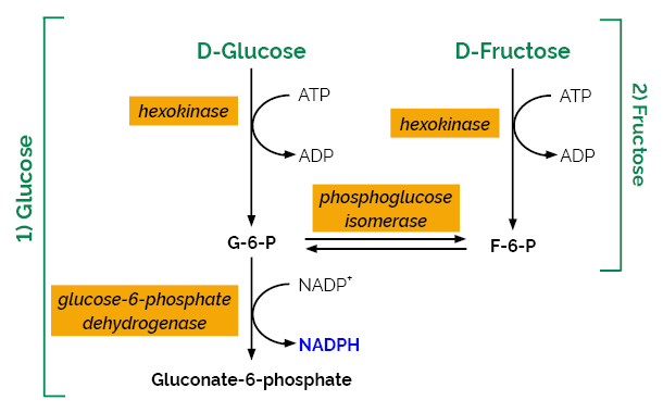 D-Fructose/D-Glucose Assay Kit&nbsp;(Liquid Ready)&nbsp;