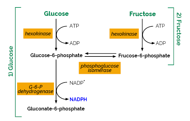 D-Fructose/D-Glucose Assay Kit
