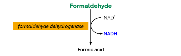 Formaldehyde Assay Kit