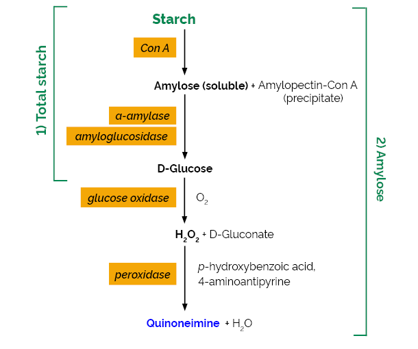 Amylose/Amylopectin Assay Kit