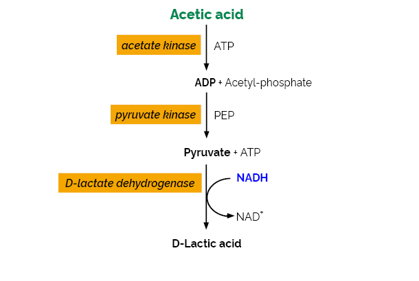 Acetic Acid Assay Kit (Acetate Kinase Analyser Format)