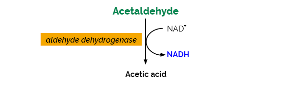 Acetaldehyde Assay Kit